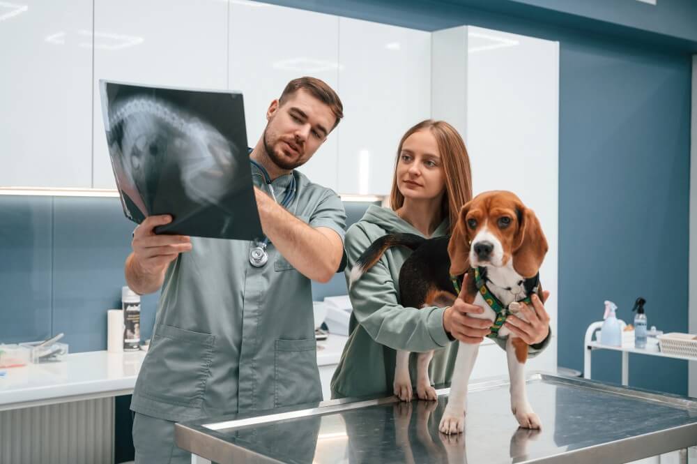 Veterinary Orthopedic Specialist 