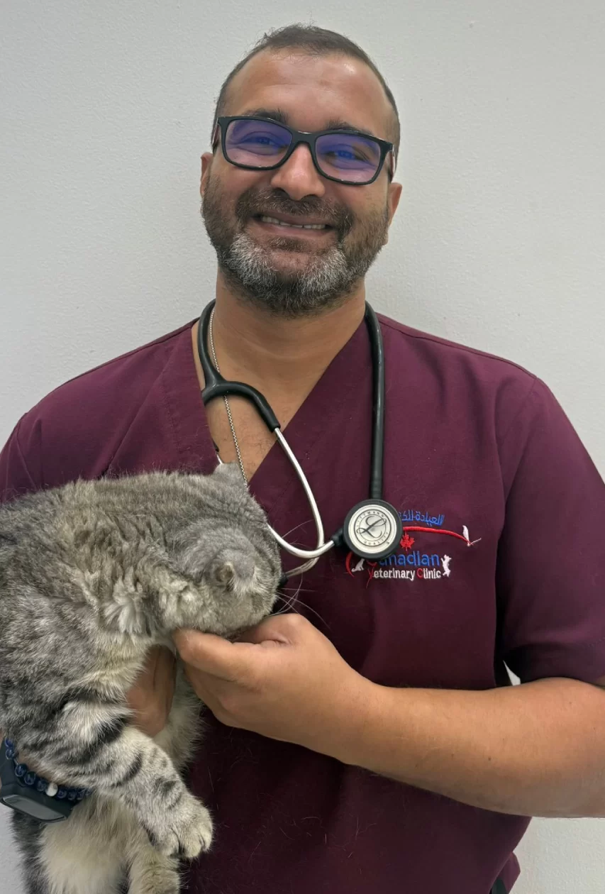 Dr Muhammad Aboud