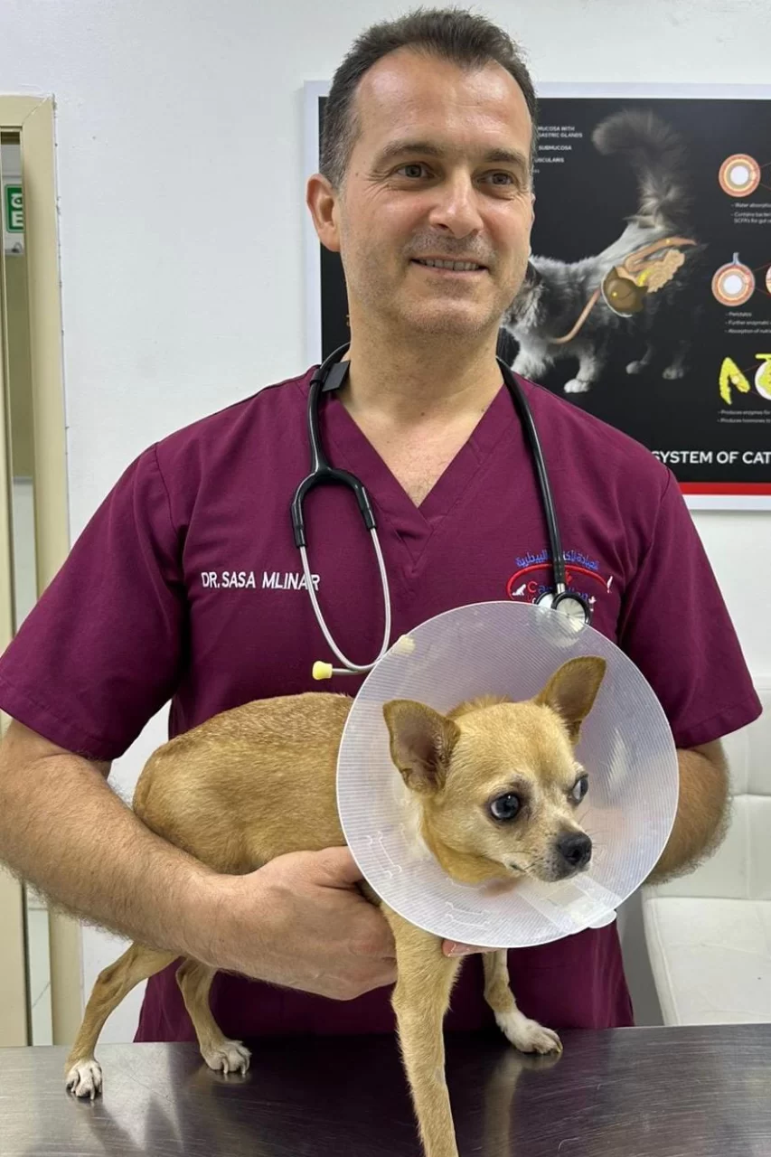 Dr Sasa