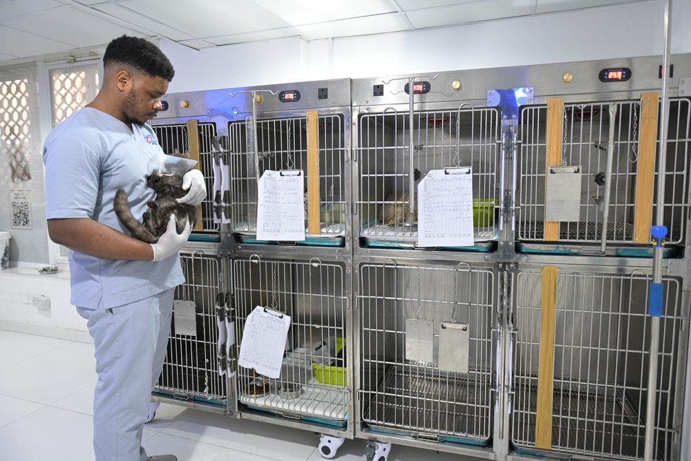 Confinement/Hospitalization